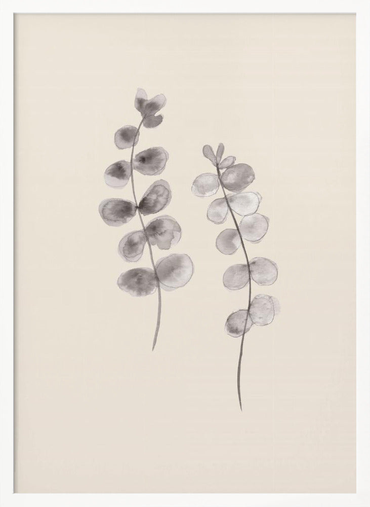 Eucalyptus Twigs Poster