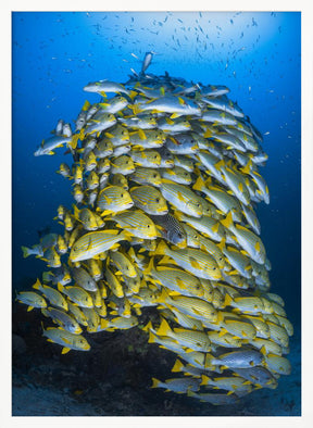 Fish Tower Poster