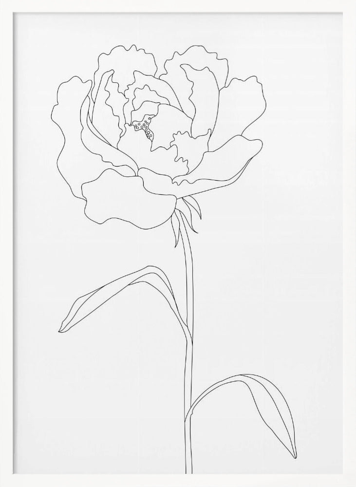 Peony Lines Poster