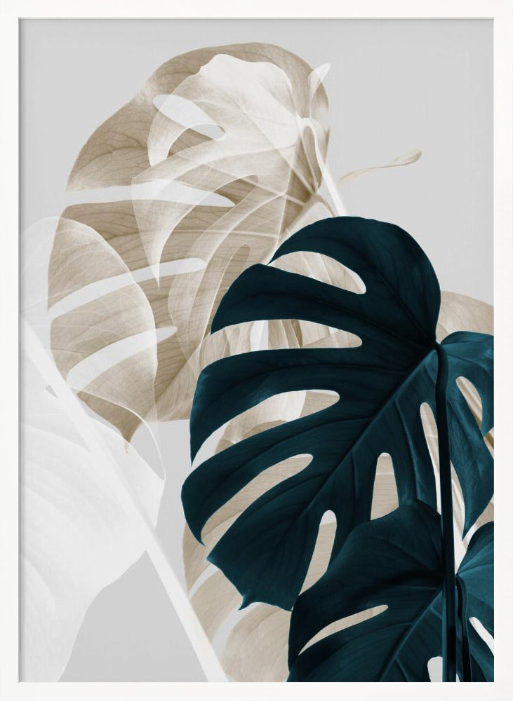 Monstera Creative 05 Poster