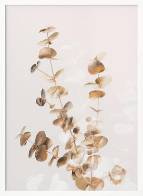 Eucalyptus Creative Gold 03 Poster