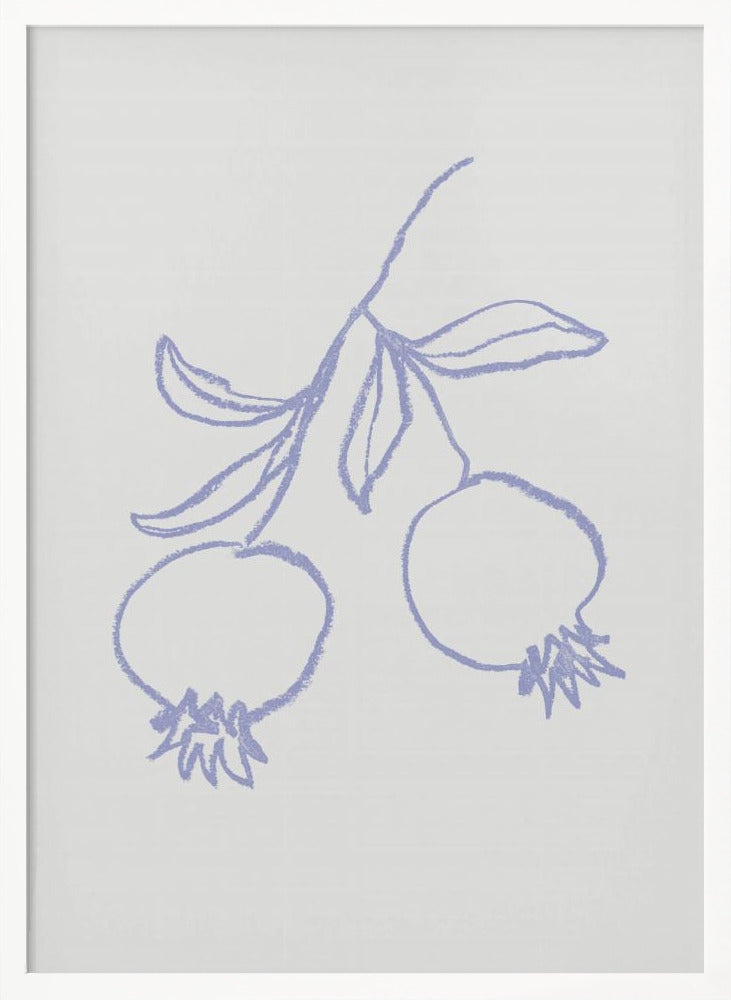 Pomegranate Lilac Poster