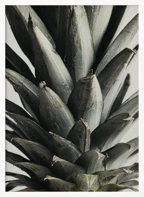 Pineapple close up Poster