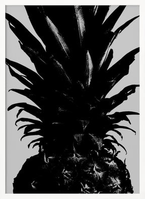 Pineapple bw Poster