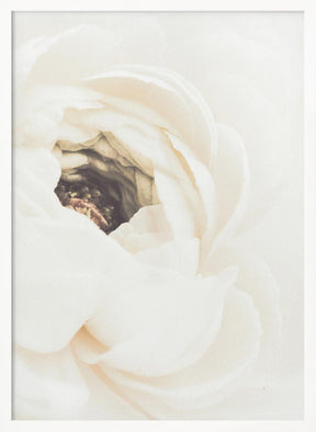 White Flower 01 Poster