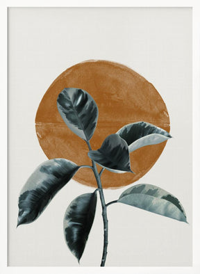 Sun and Ficus Poster