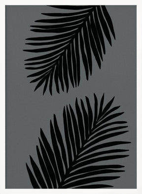 Palm Leaf Gray 02 Poster