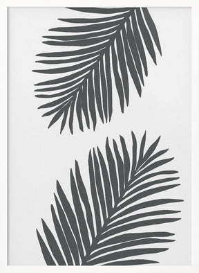 Palm Leaf Gray 01 Poster