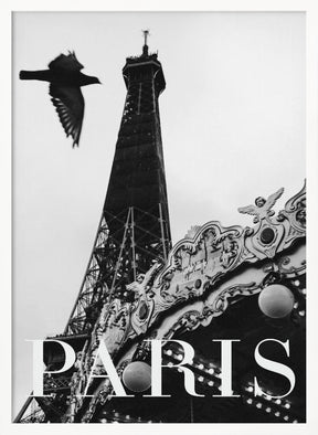 Paris Dove Poster