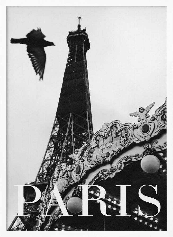 Paris Dove Poster