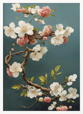 White Cherry Blossoms Poster