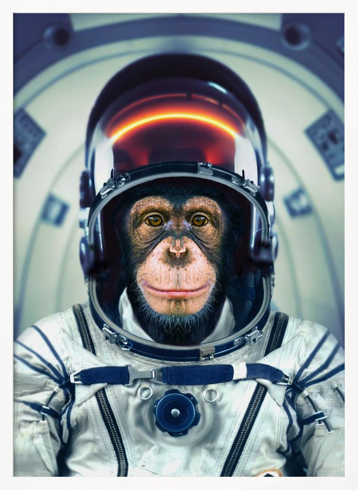 AstroMonkey Poster