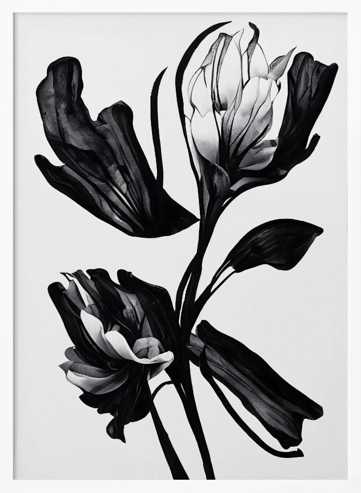 Black Flower Poster