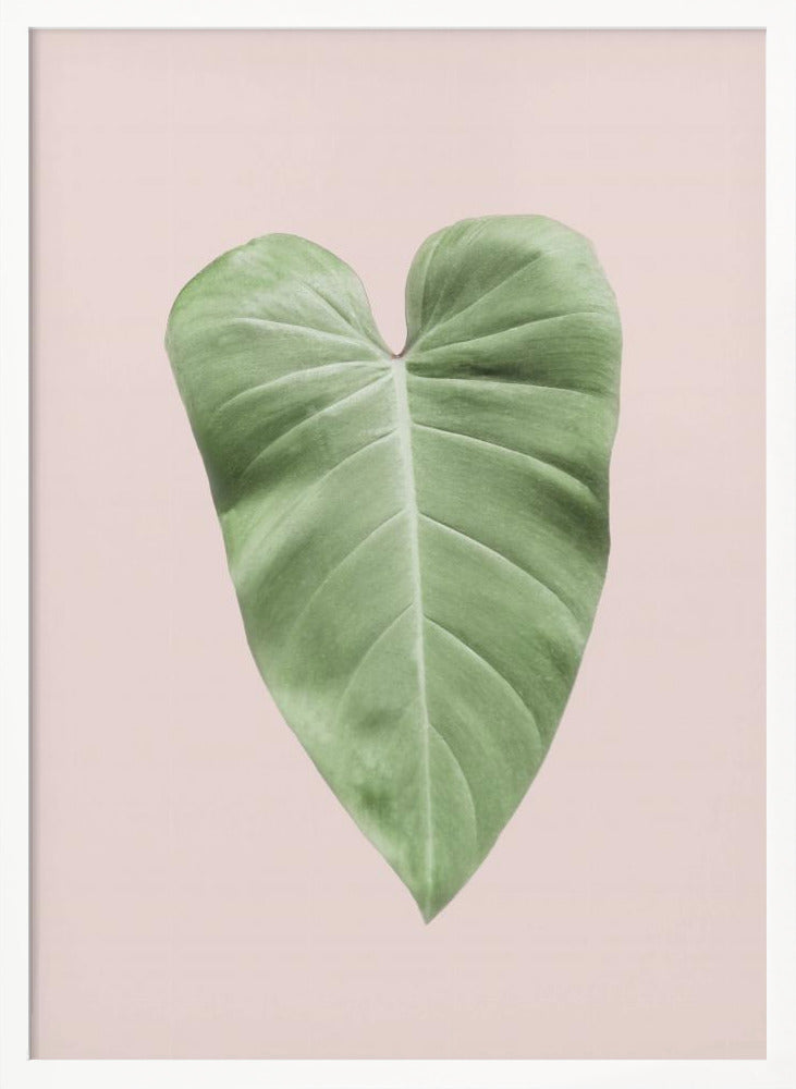 Tropical Leaf Blush Poster