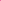 Cute Pink Flowers Poster