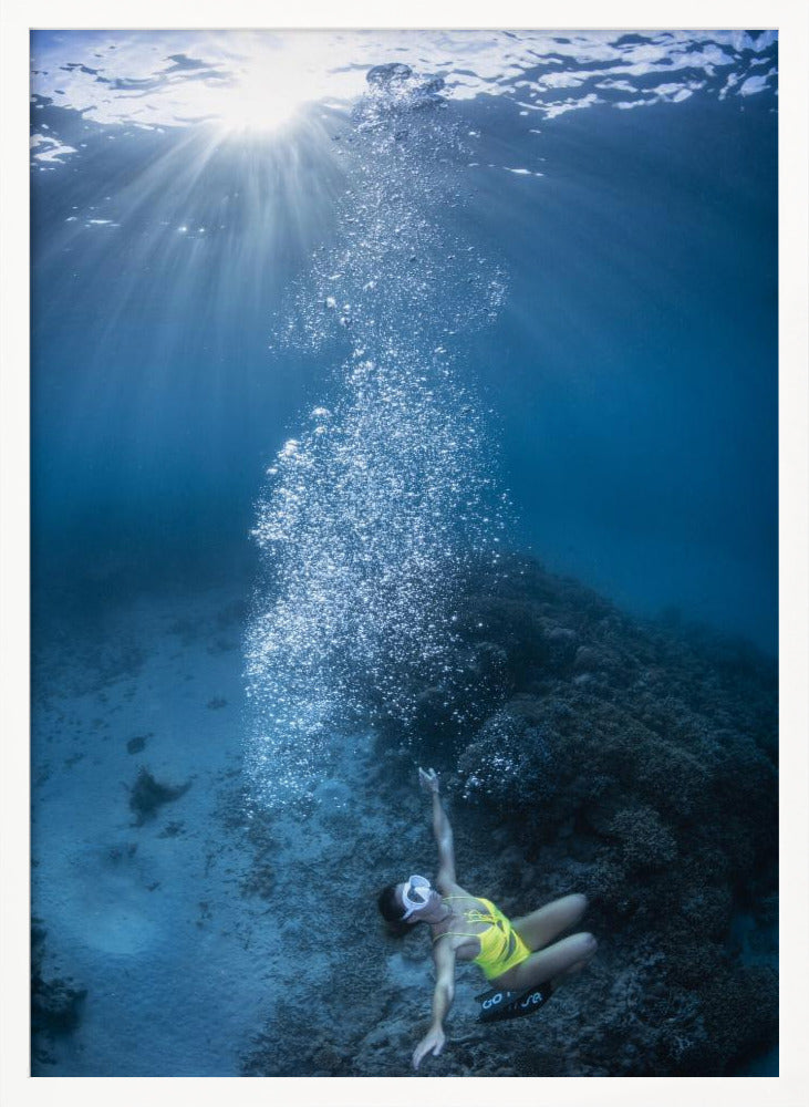 Lady of the reef Poster