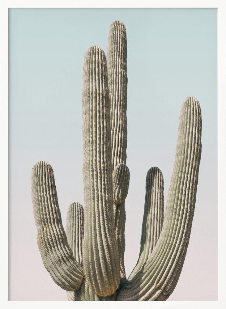 Saguaro Poster