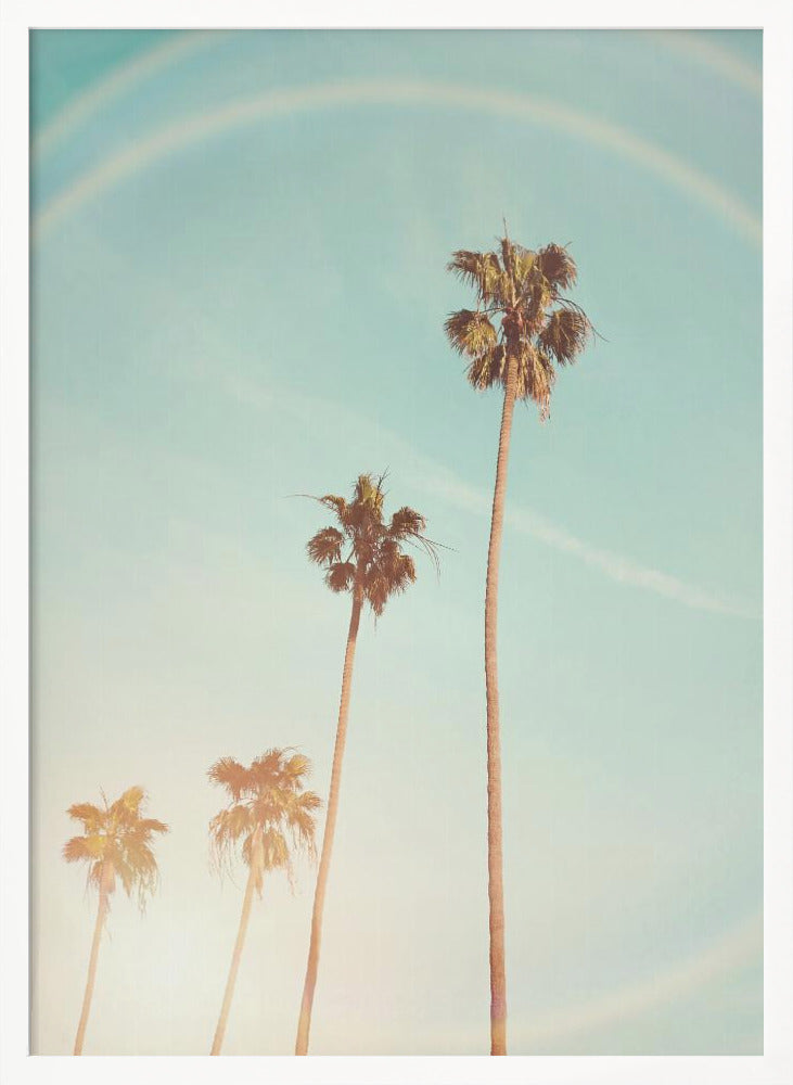 Sunny Cali Palm Tree Poster