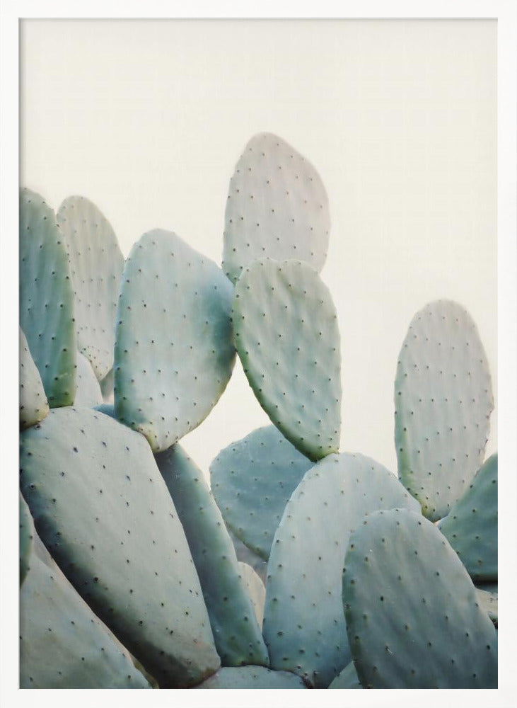 Pastel Cacti Poster