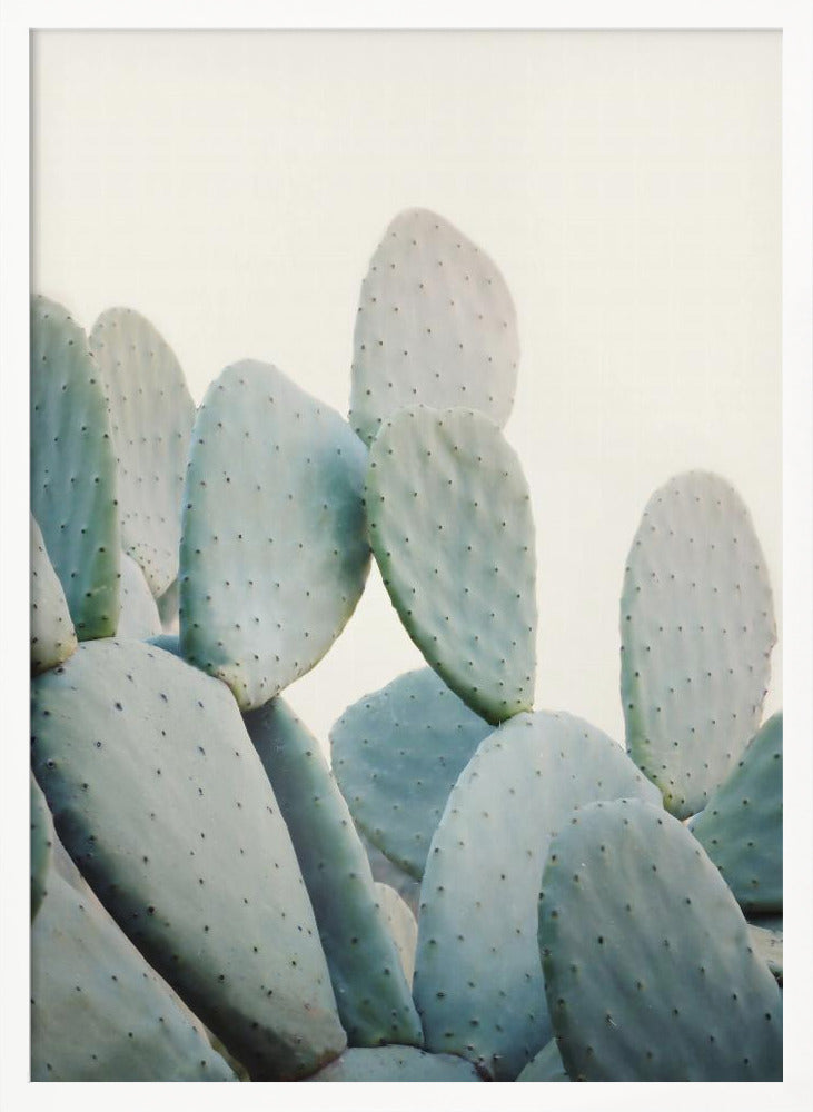 Pastel Cacti Poster