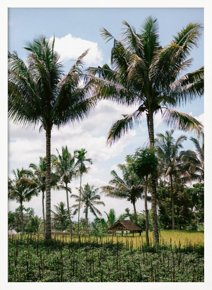 Tetebatu Lombok Poster