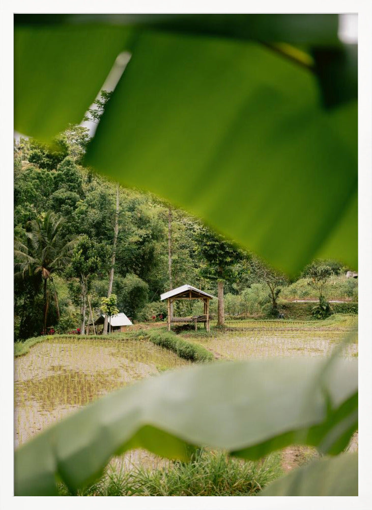 Tetebatu Lombok Poster
