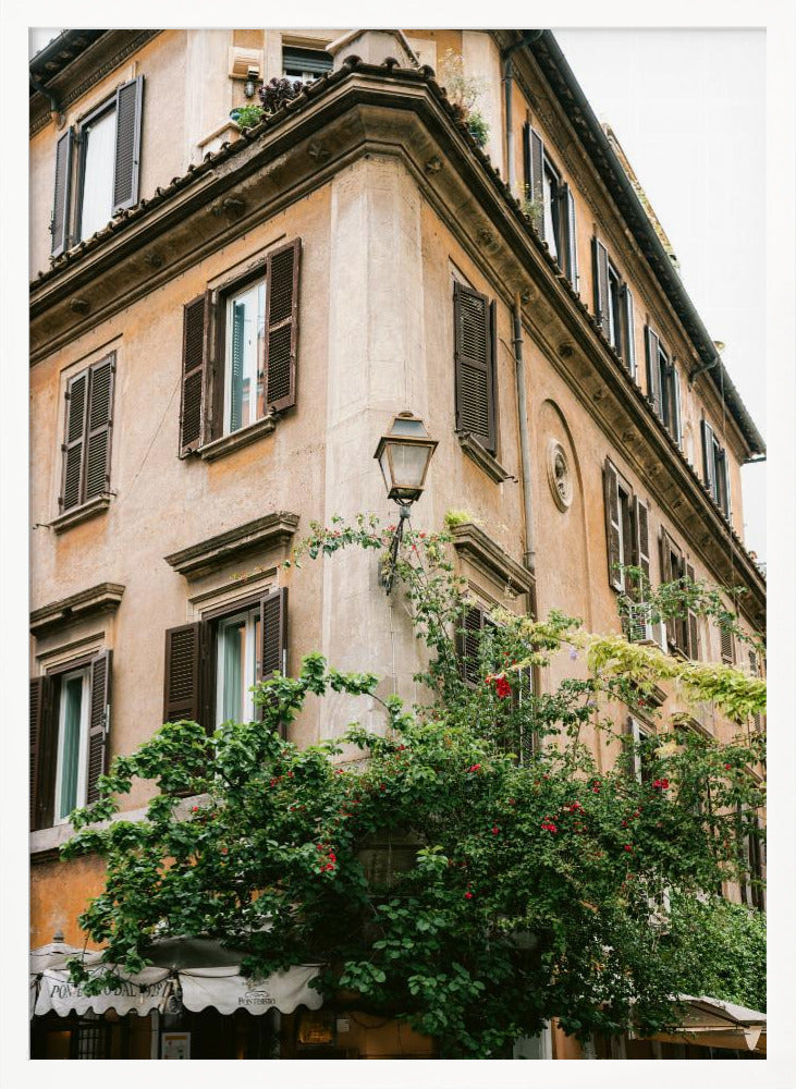 Botanical Trastevere Rome || Poster