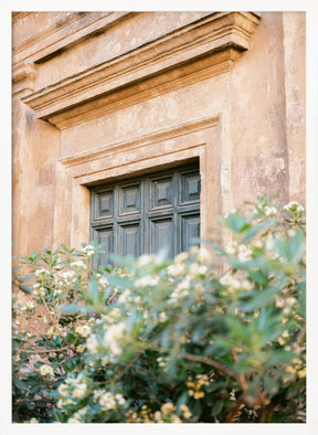 Botanical Trastevere Rome Poster