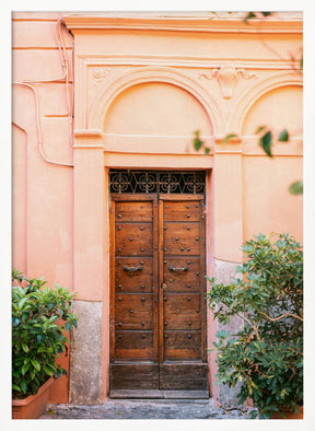 The Trastevere door || Poster