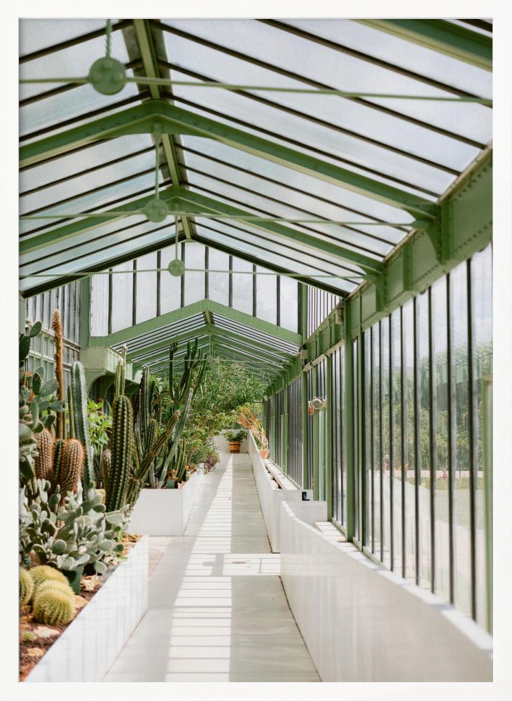 Botanical garden of Paris Poster