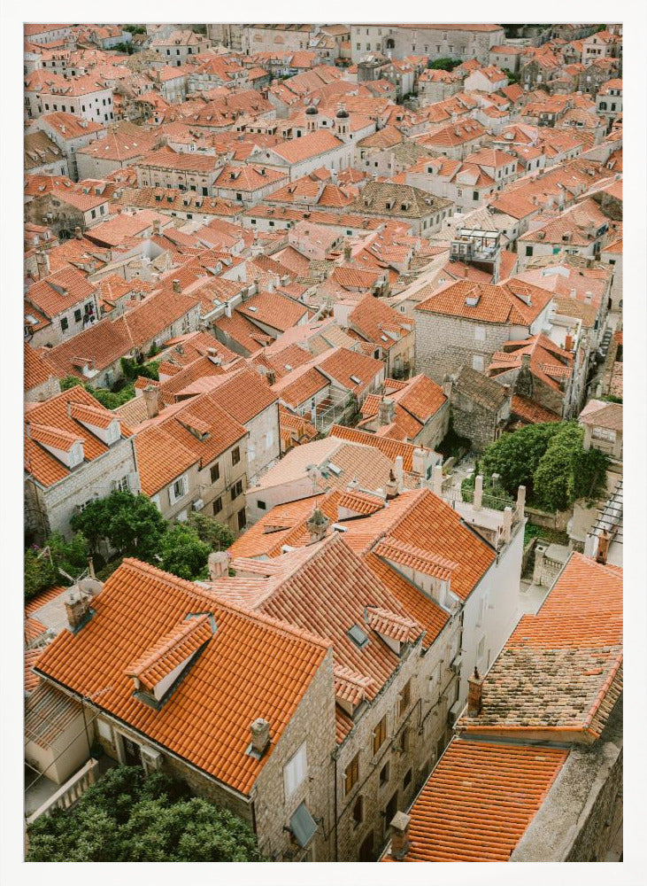 Roofs of Dubrovnik Poster