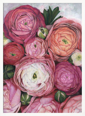 Arleth ranunculus bouquet in warm pink Poster