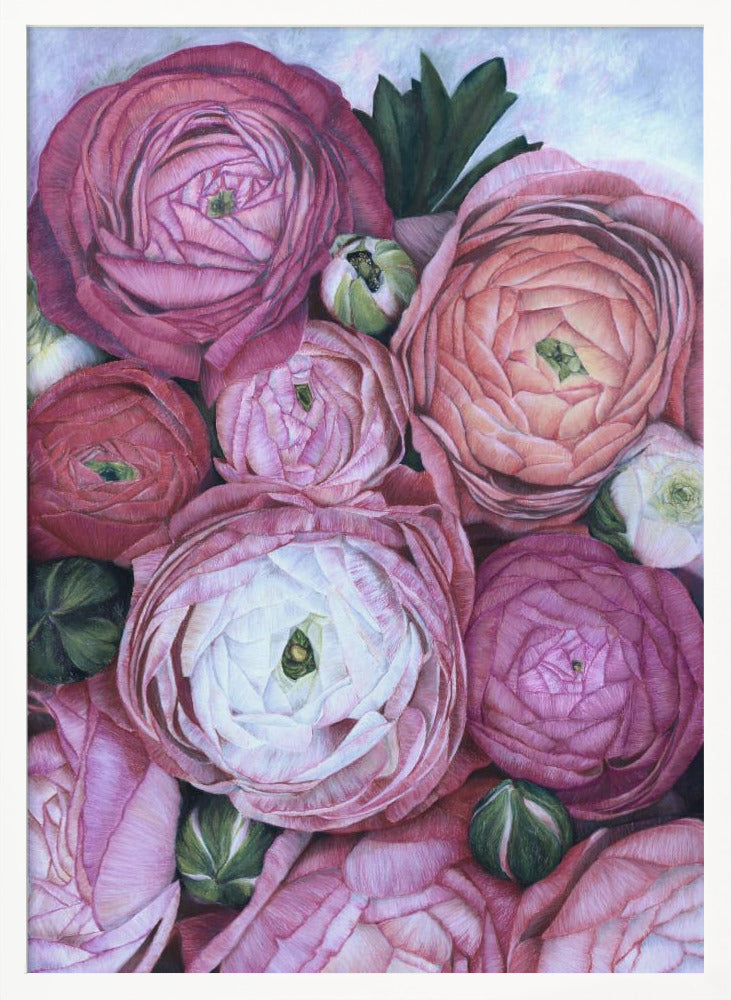 Arleth ranunculus bouquet in cold pink Poster