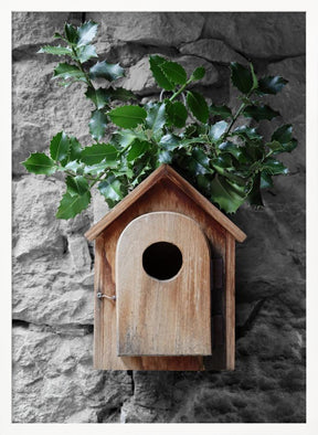 Holly birdhouse Poster