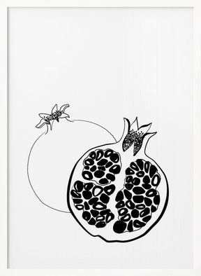 Line art pomegranates Poster