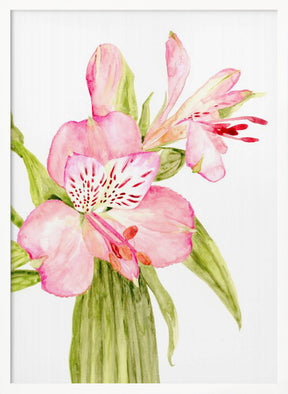 Pink watercolor alstroemeria Poster