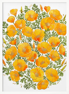 Gold accented California poppies Poster