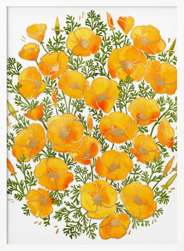 Gold accented California poppies Poster