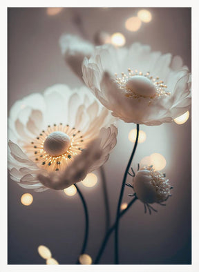 White Flowers And Bokeh Poster