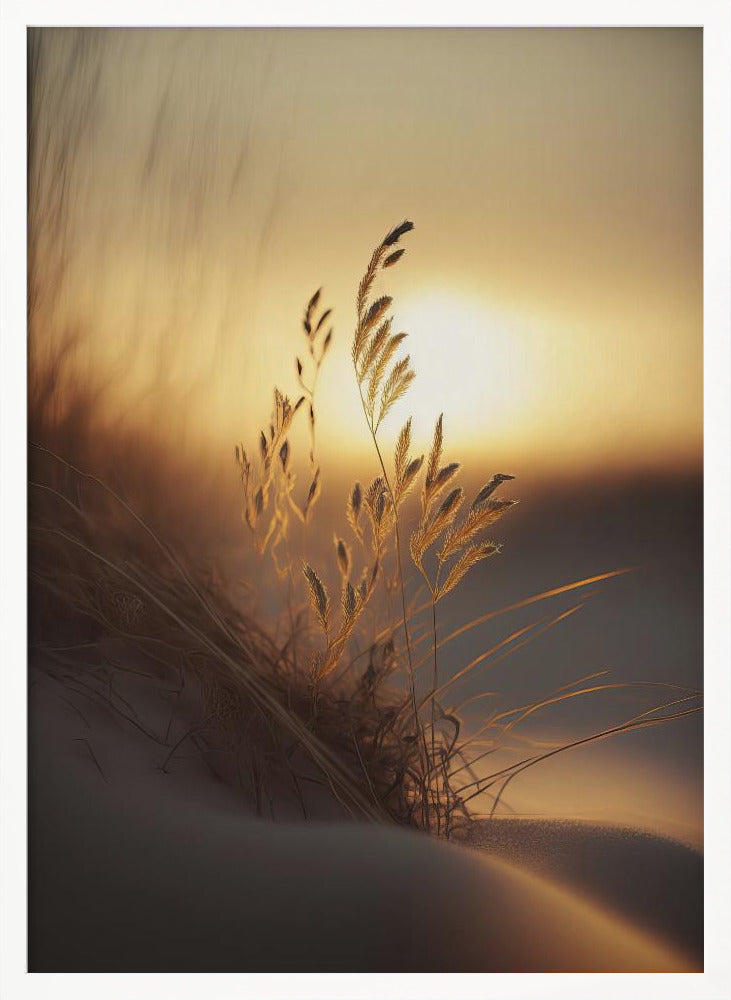 Evening Sun At The Beach Poster