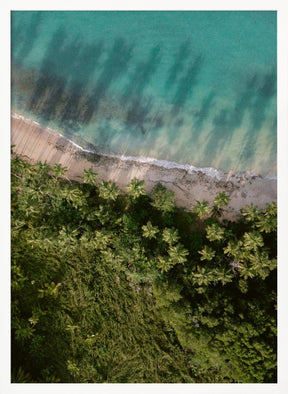 Palm Beach from Above Poster