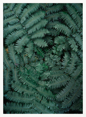 Green Leaves Poster