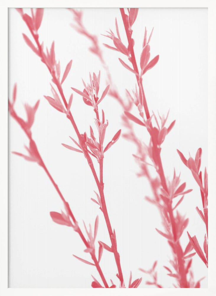 Pink dainty branch Poster