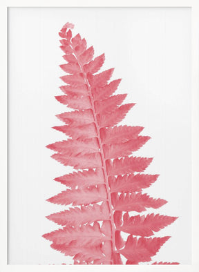 Pink fern leaf Poster