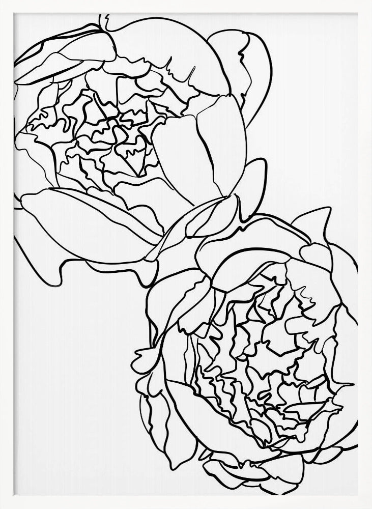 Sally's peonies in black and white Poster