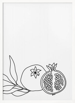 Pomegranate line art Poster