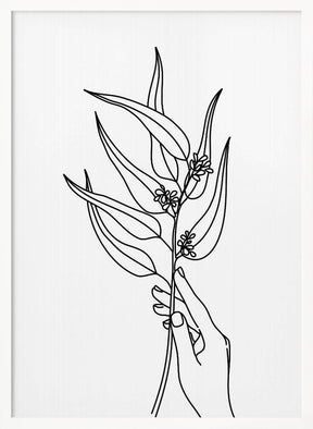 Seeded eucalyptus line art Poster