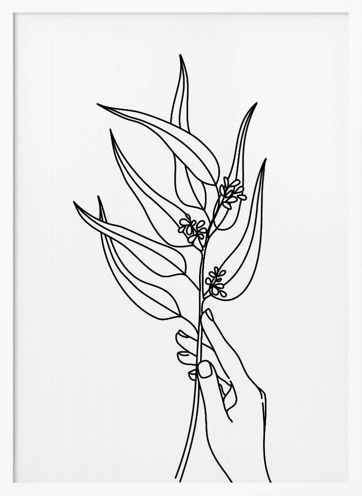 Seeded eucalyptus line art Poster