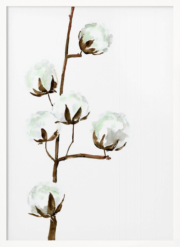 Watercolor cotton branch I Poster