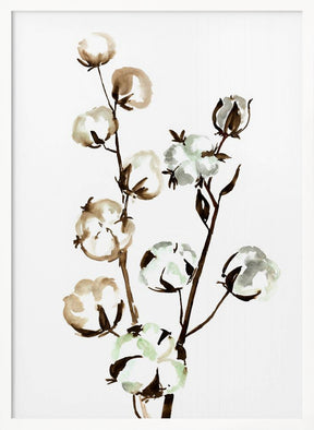 Watercolor cotton branch II Poster